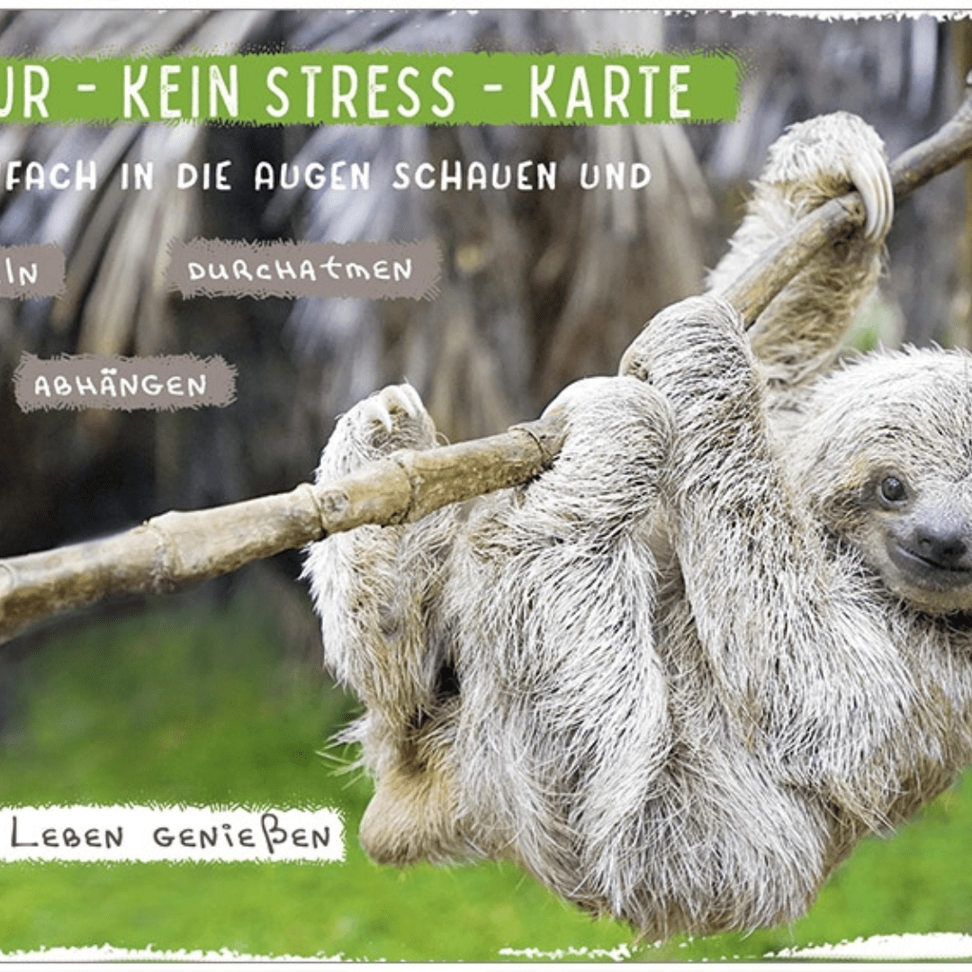 Faultier mit Text