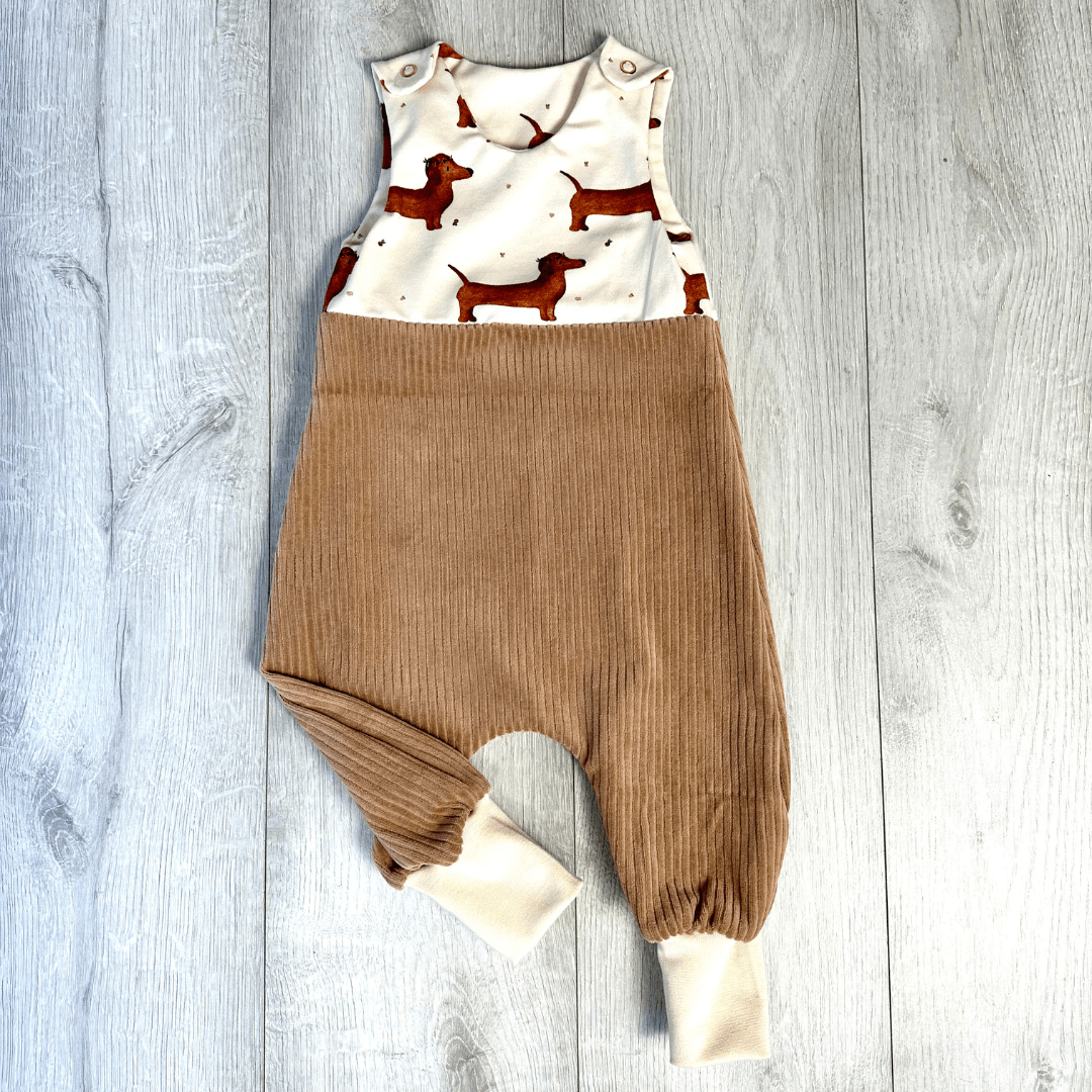 brauner cord mit dackel